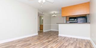 2nd Floor - Recently Upgraded and Remodeled -1 Bedroom 1 Bath for Lease in Brandon, FL Gallery 1
