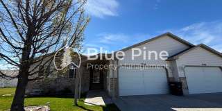 3736 Ellendale Circle Gallery 1
