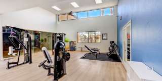 Desert Ridge Gallery 23