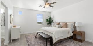 Annex at Cadence Gallery 15