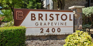 Bristol Grapevine Gallery 16