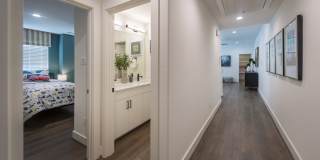 Eden at Sunterra Gallery 17