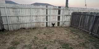 1020 Jessie Street Gallery 17