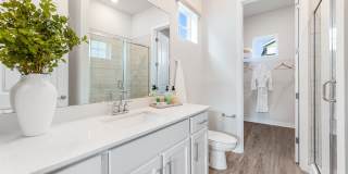 Yardly Mount Dora Gallery 8