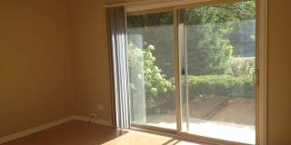 15 Olympus Drive Gallery 13