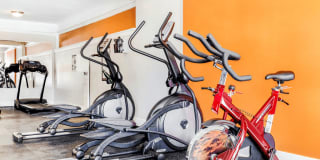 Grand Arbor Reserve Apartment Homes Gallery 23