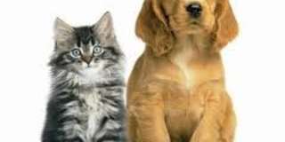 Cranmore Apartments Gallery 30