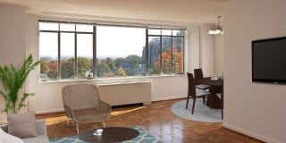 The Elaine The Elaine Gallery 1