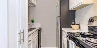 Ayla at Castle Hills Gallery 14