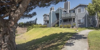 Cypress Creek Gallery 41