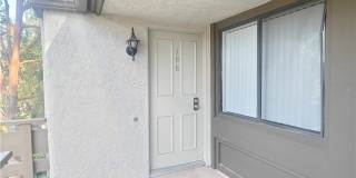 22852 Hilton Head Drive Gallery 13