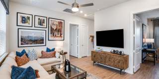 Yardly Elm Gallery 7