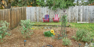 Unfurnished Light-Filled, Beautifully Updated 3-Bedroom Home in Jacksonville Gallery 49