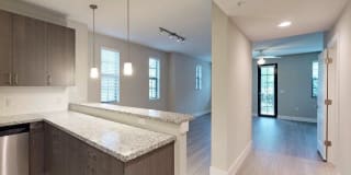 Shalimar at Davie Gallery 6