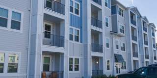 Madison Grove Gallery 30