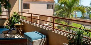 1635 ROYAL PALM DRIVE S Gallery 51