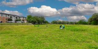 San Miguel Gallery 14