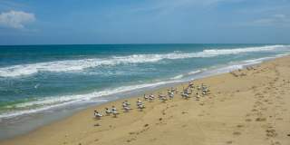 4800 Highway A1a Gallery 24