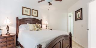 38061 Crocus Lane Gallery 17