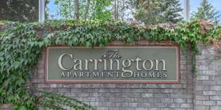 Carrington Gallery 41