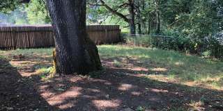 Clean & Move-In Ready 2-Bedroom Home with Garage and Large Fenced Yard Gallery 11