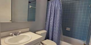 Furnished 2-Bedroom, 2-Bathroom Condo in Tampa Gallery 14