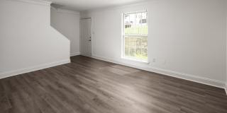 Hidden Colony Gallery 8