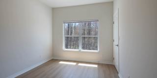 Liberty Park Gallery 2