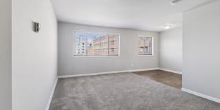 Swift at Riverdale Park Gallery 53