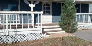 Paradise Gallery 1