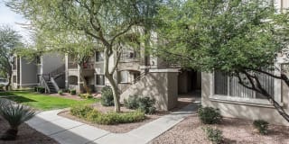 Kota North Scottsdale Gallery 26