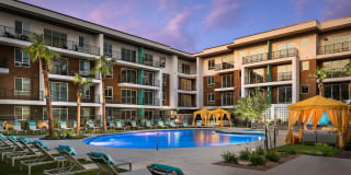 Roadrunner on McDowell Gallery 24