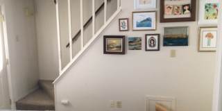 503 S Urbana Gallery 13