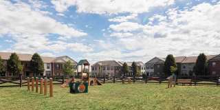 The Mill at Georgetown Gallery 11