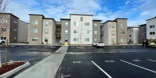 Grand Pacific Gallery 1