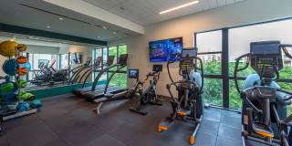 Lane at Waterway Gallery 1