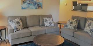 Live Oak Gallery 1