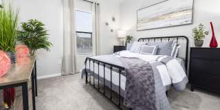 Ember at Alamo Ranch Ember at Alamo Ranch Gallery 9