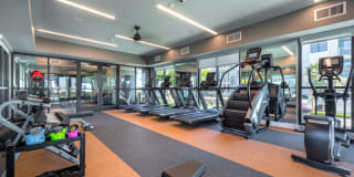 Coastline Ventura Gallery 26