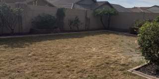 10743 W DESERT ELM Lane Gallery 43