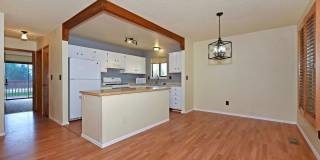 Huge yard with Pikes Peak Views! Gallery 7