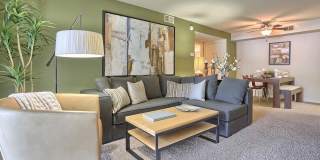 Springford Gallery 1