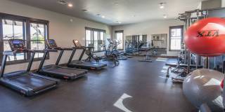 Great Townhouse in Windsor Gallery 37