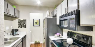 The Villages Gallery 11