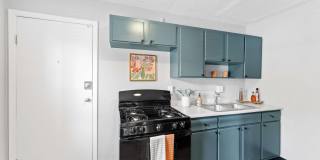 The View on Vivion Gallery 5