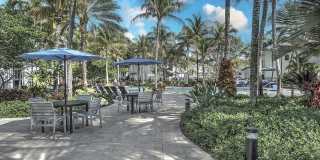 Solero at Plantation Gallery 37