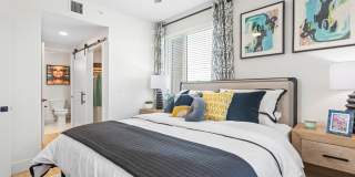 Tortoise One Gallery 19