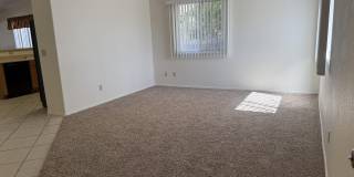 2946 W Ring Tail Drive Gallery 12