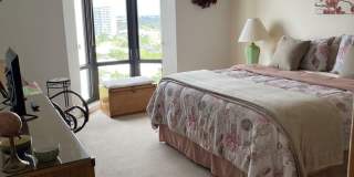 ANNUAL OR SEASONAL AVAILABLE ON JANUARY 3, 2027 ** PELICAN BAY THE DORCHESTER HIGH RISE BEAUTY ** BEST VIEW ** 12TH FLOOR  ** AVAILABLE AS A SEASONAL OR ANNUAL STARTING 1/3/2027** PELICAN BAY ** Gallery 10
