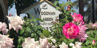 Woodman Lassen Gallery 21
